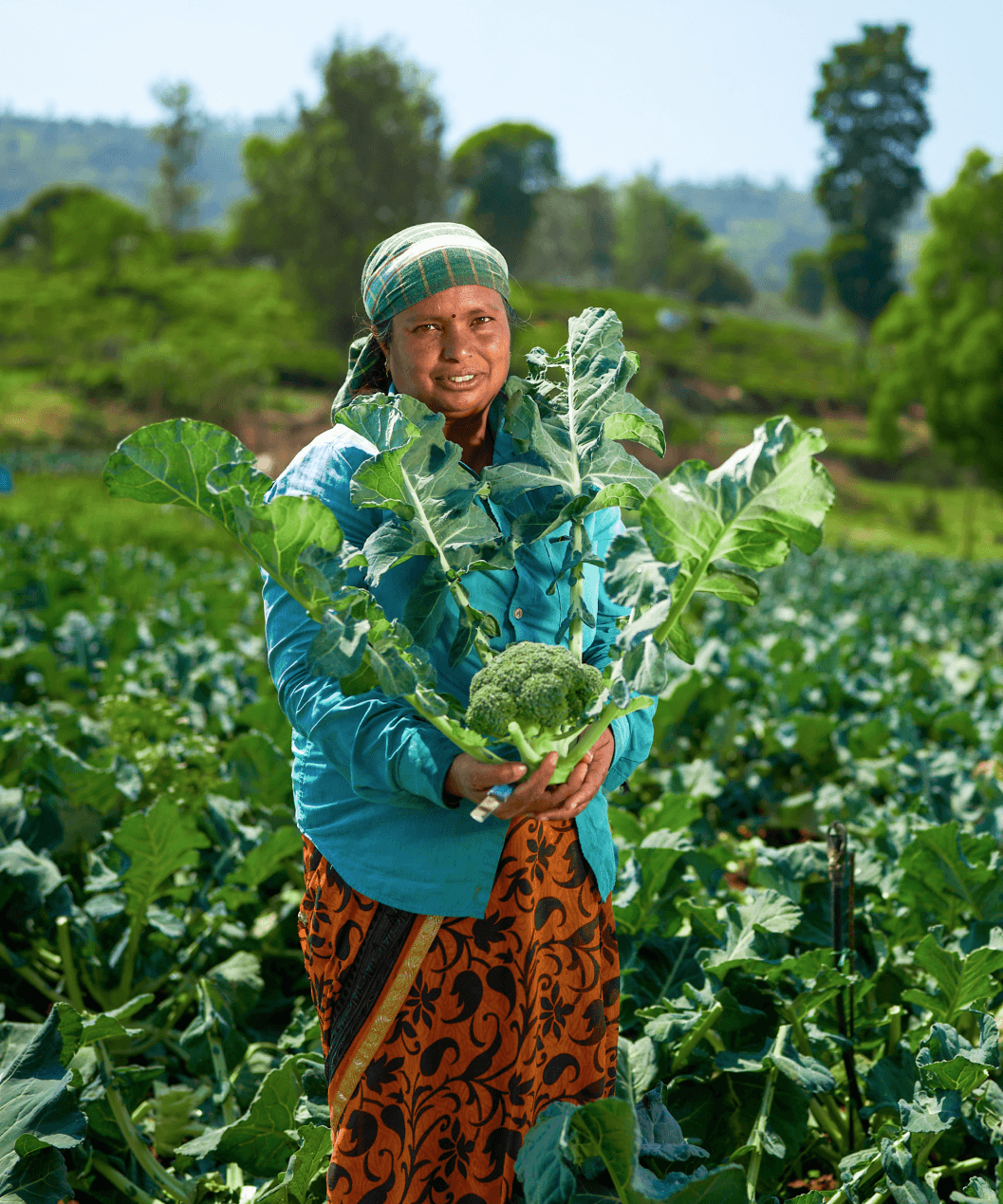 <p>No-Harm Mindset <i>and Culture</i></p>