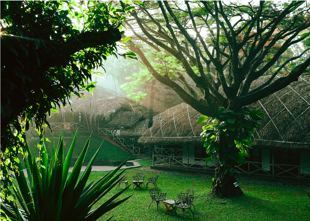 <p>Safeguarding <i>Environment</i></p>