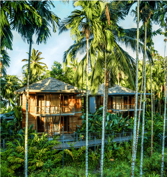 <p>Safeguarding <i>Environment</i></p>