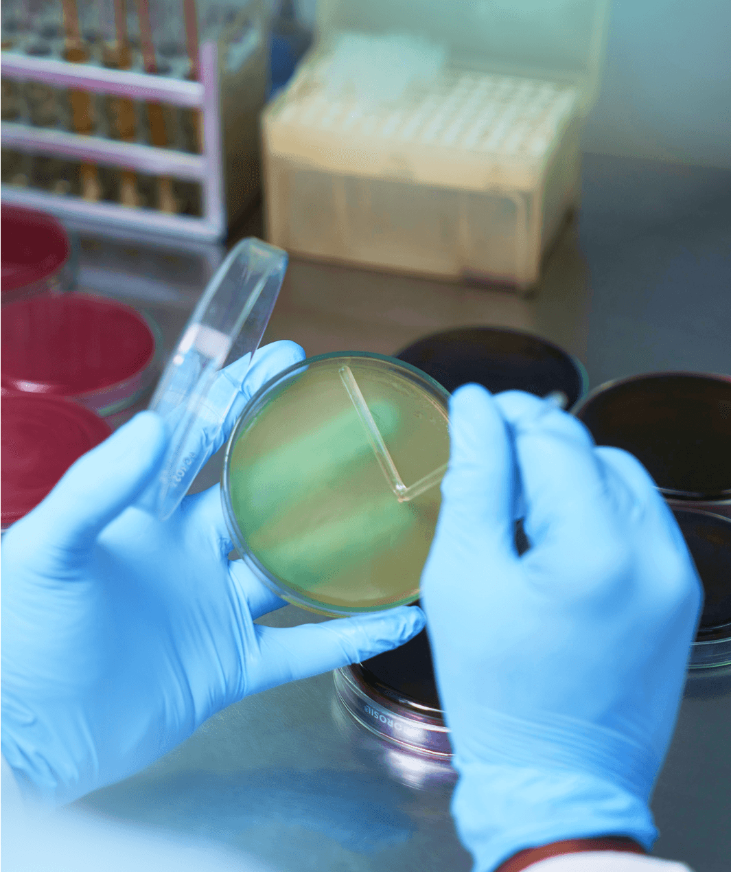 <p>Quality <i>Assurance</i></p>